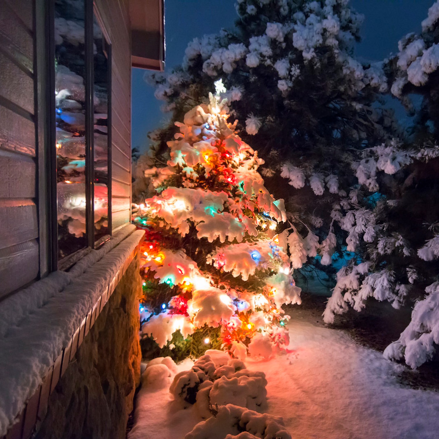 330FT 1000LED String Lights Outdoor Christmas Decoration Lights with Remote IP44 Waterproof 8 Lighting Modes 8 Brightness Timer Plug In Fairy Light Xm - Image 2