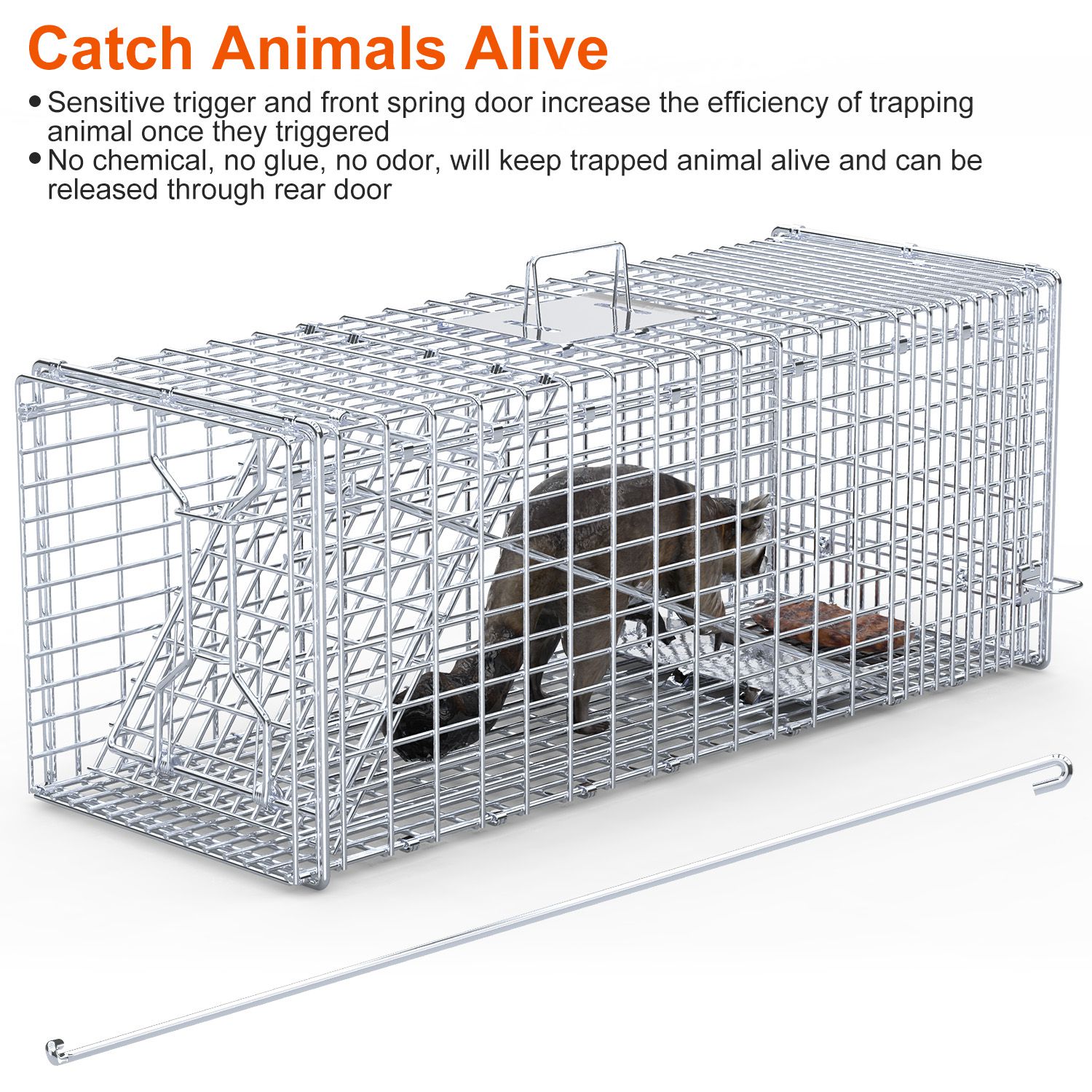 Live Animal Trap Cage 37x14x15in Folding Catch and Release Humane Cat Trap Galvanized Iron for Raccoons Foxes Coyotes Stray Dogs Armadillos Squirrels - Image 10