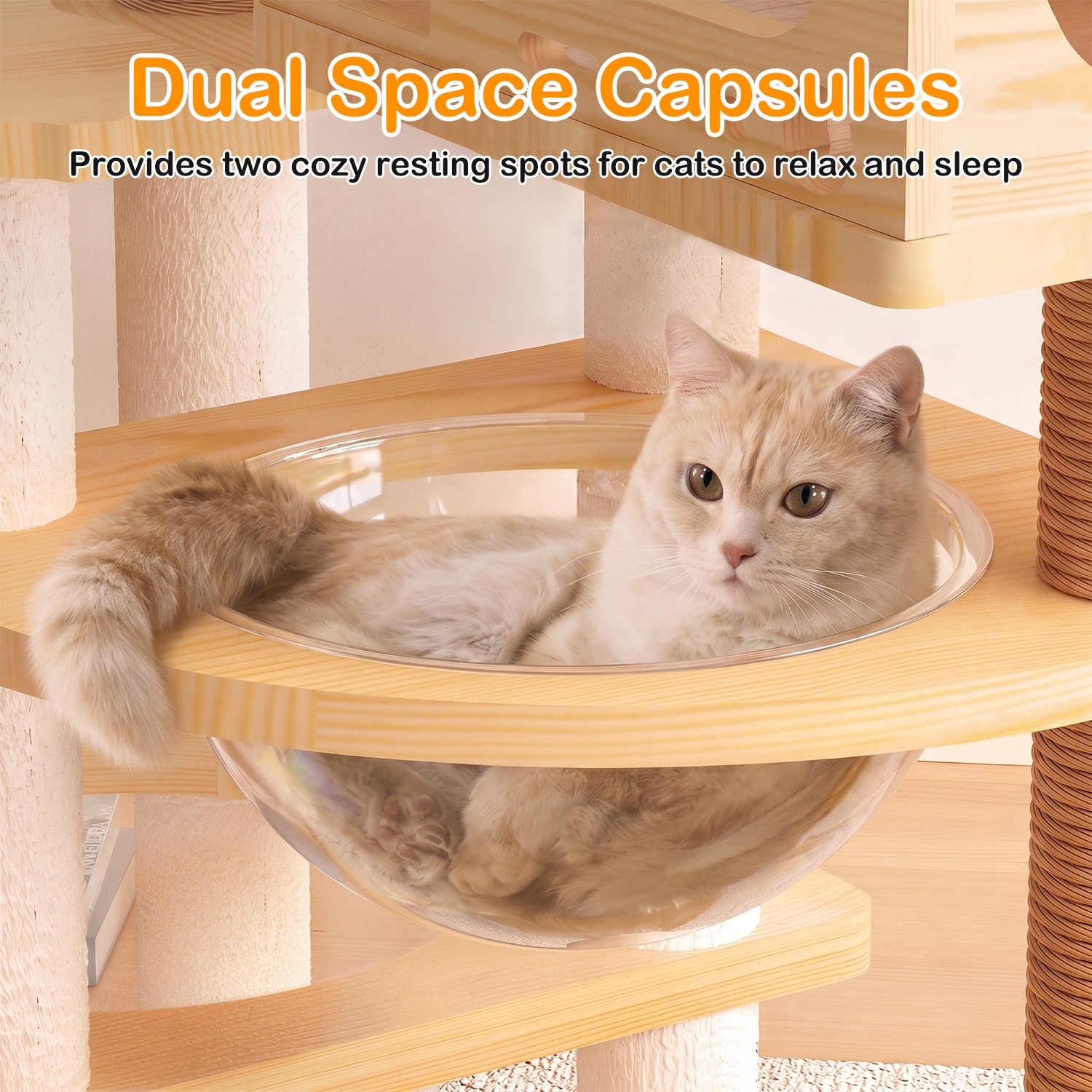66.9" Modern Cat Tree Tower Wooden Cat Condo with 1 Cat House 2 Acrylic Capsule Sisal Scratching Posts Soft Bed Hanging Toys Multi-Level 33LBS Max Loa - Image 7