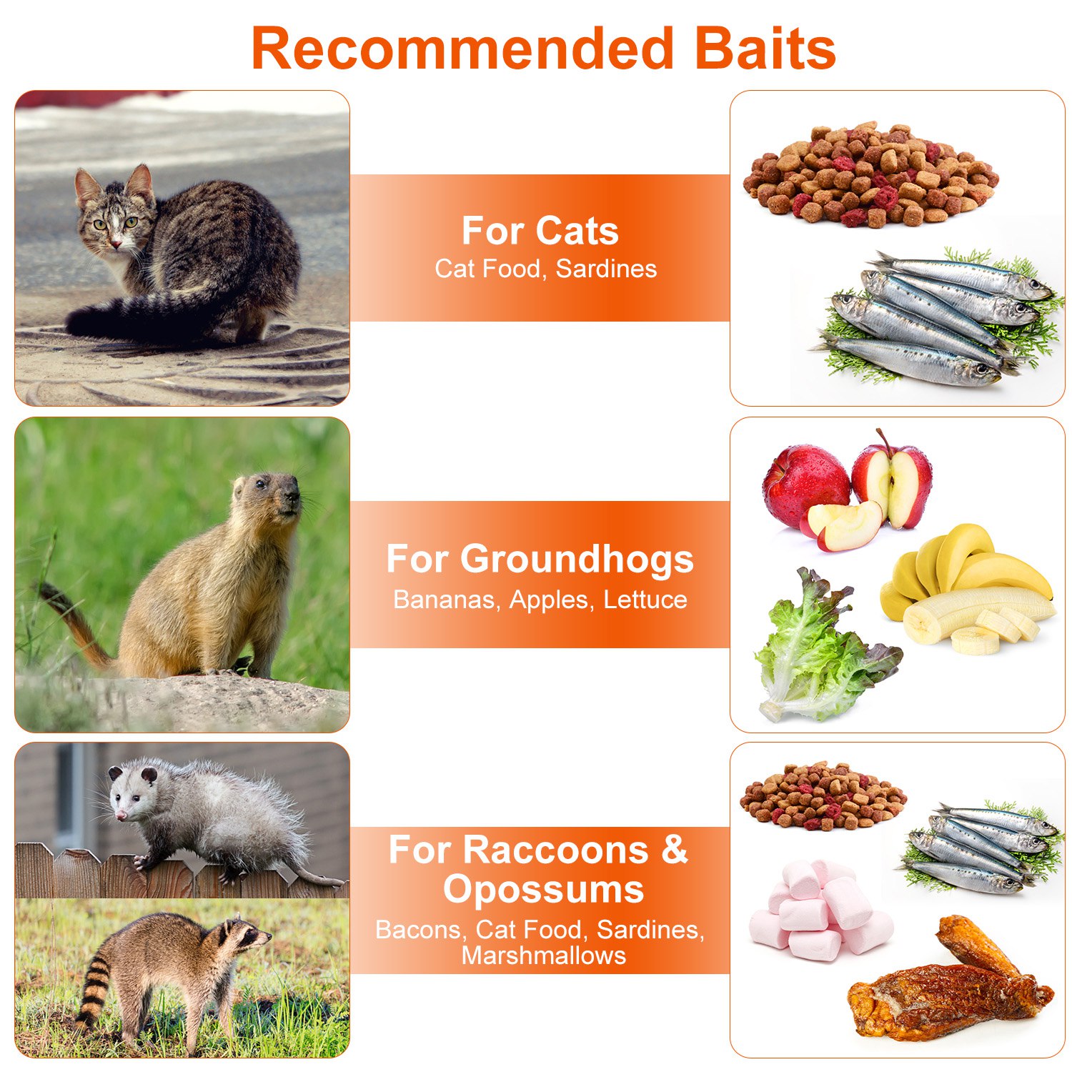 Live Animal Trap Cage 37x14x15in Folding Catch and Release Humane Cat Trap Galvanized Iron for Raccoons Foxes Coyotes Stray Dogs Armadillos Squirrels - Image 8