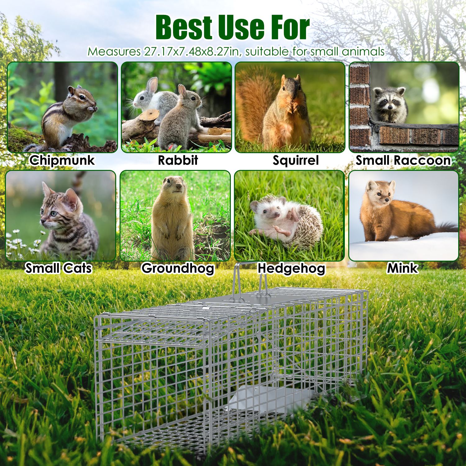Live Animal Trap Cage 27x7.5x8in Folding Catch and Release Steel Humane Cat Trap for Racoons Stray Cats Rabbits Beavers Hedgehogs Chipmunk Small Anima - Image 8