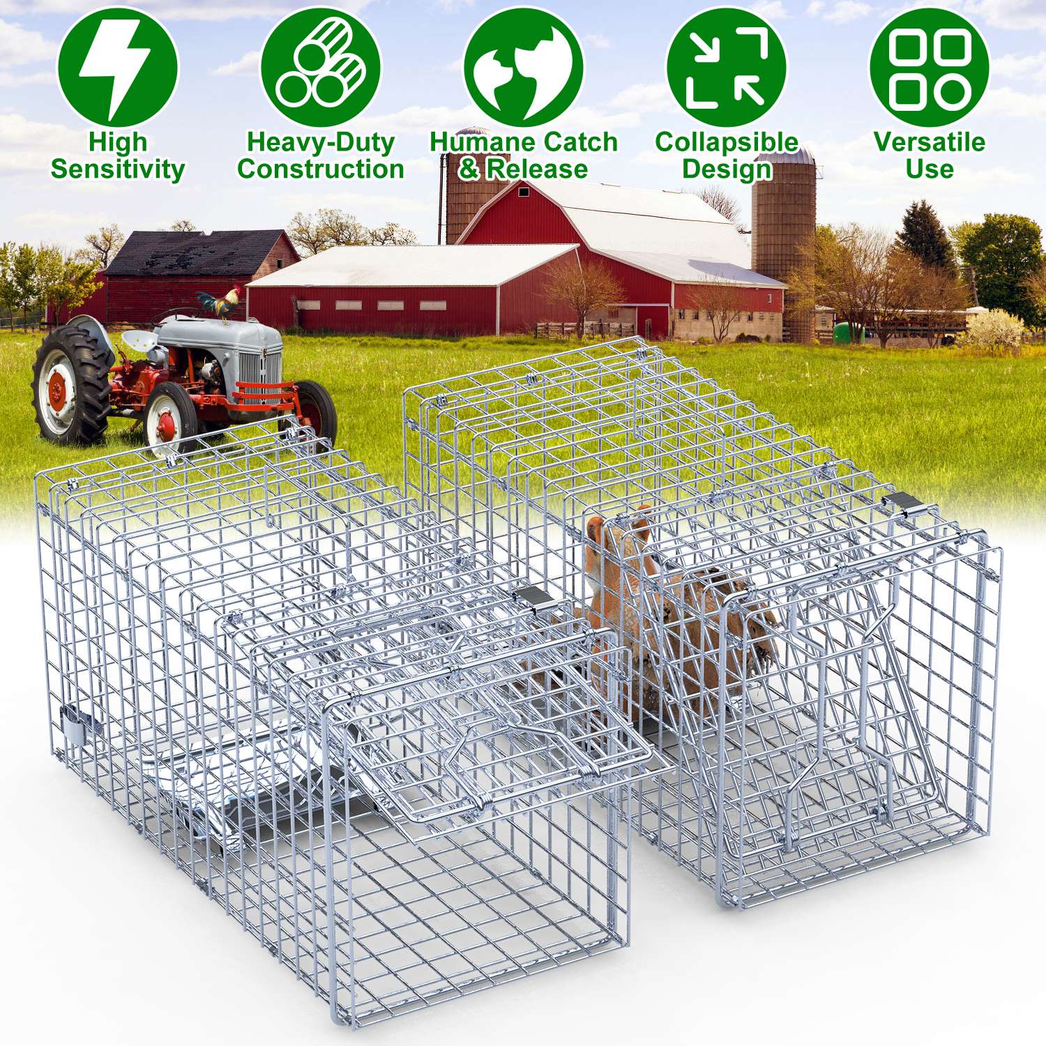2Pcs 18x8x10In Humane Single Door Live Animal Trap Collapsible Galvanized Iron Animal Cage Catch And Release for Small Squirrel Raccoon Feral Cat Weas - Image 6
